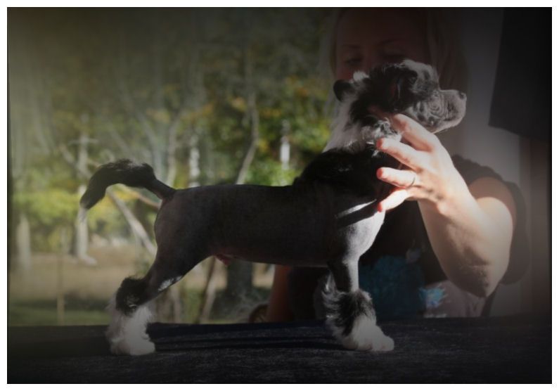 Inya Dreams How are you doing