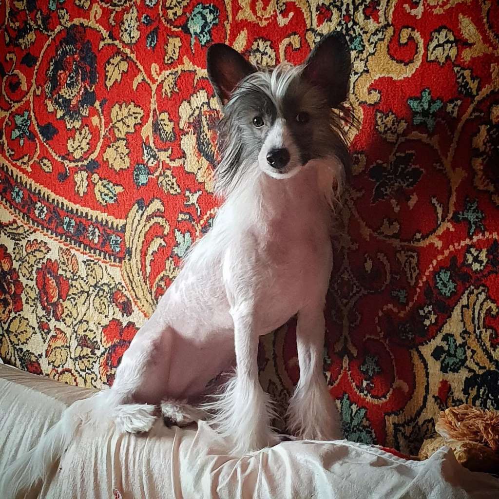 Grand Passage Evropa