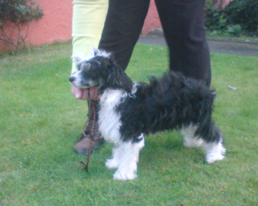 sigyns miss maybell at MISTYAYRE