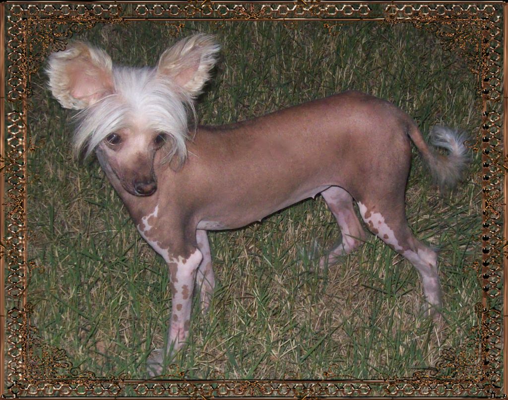 Trinity's Forever Bliss