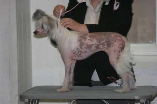 Windy Evening Melda Minnonar