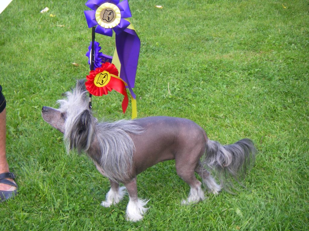 Beauty Of Xlnz Three Ace In A Row