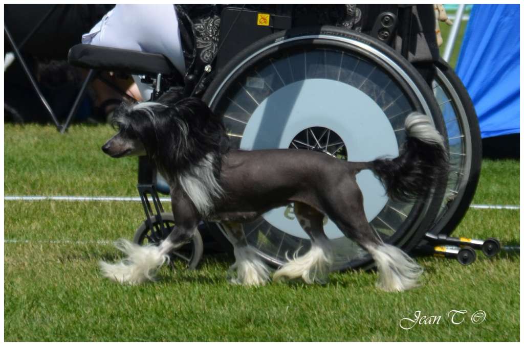 Got 2 Love U Heybett