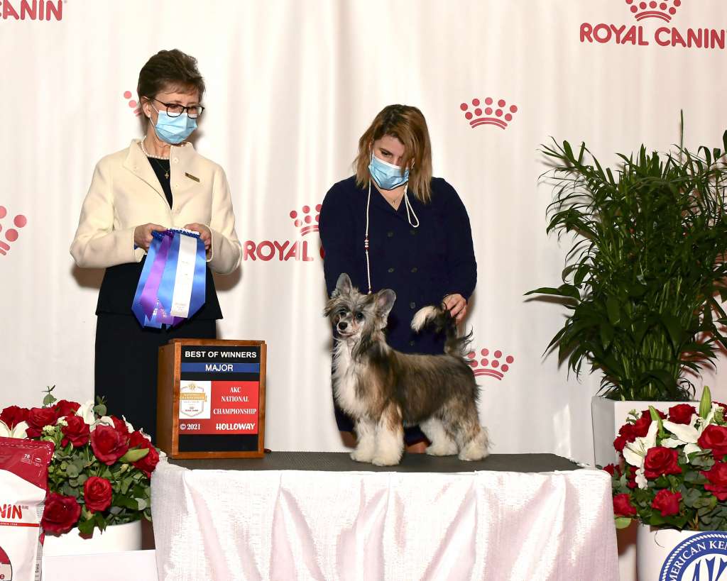 Victory's Laurel Hot Fun In Summertime