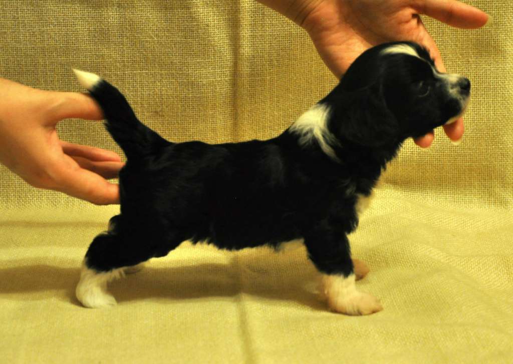 Crystal Soul Elvin Jones