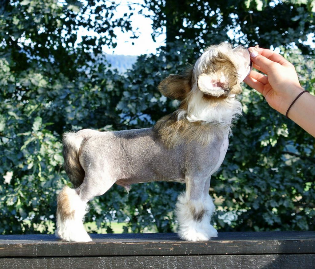 Blendverk's Exit Plan