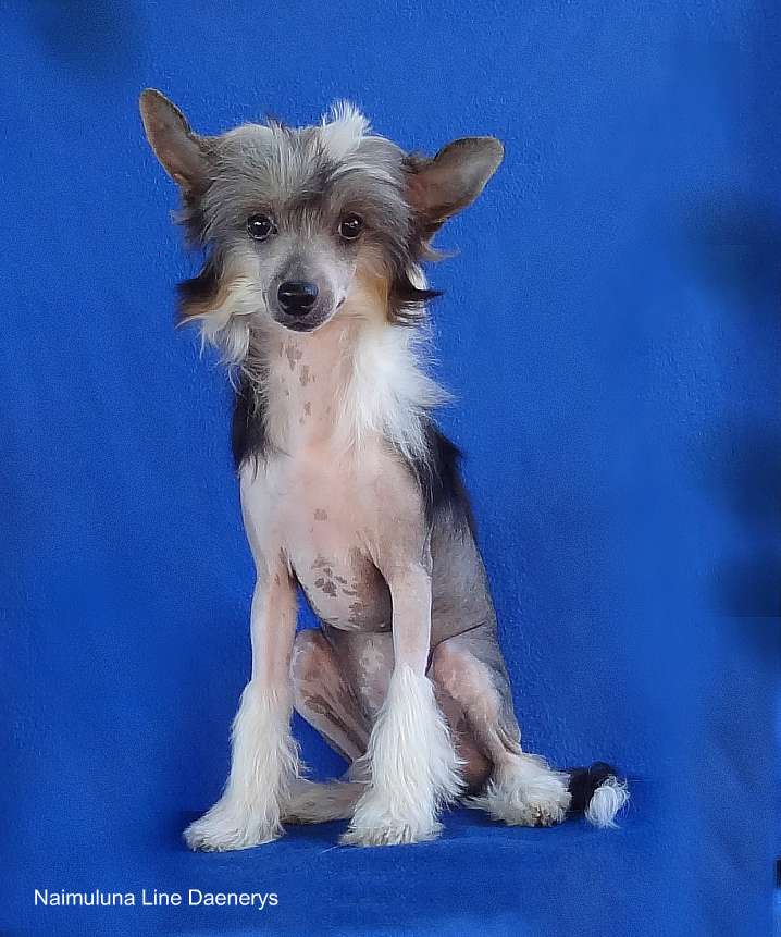 Naimuluna Line Daenerys