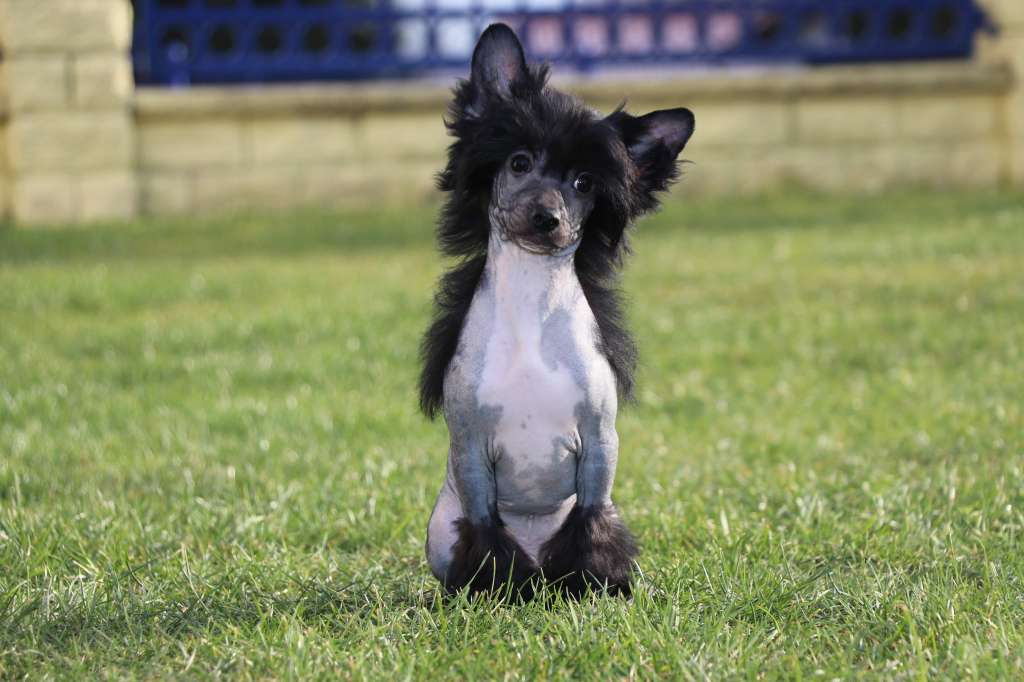 Believe In You Vom bayrischen Meer