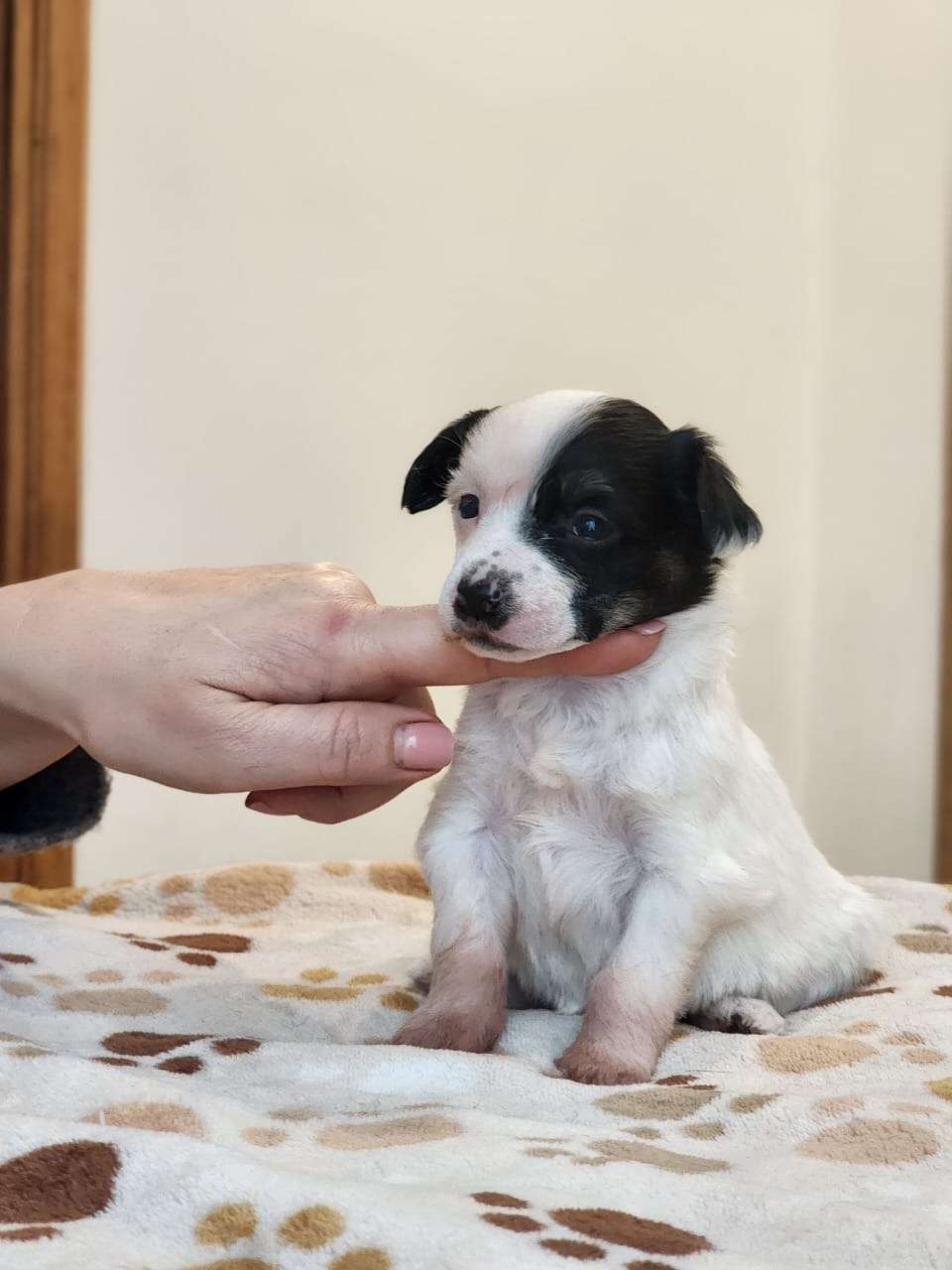 AkDeniz Inpossible possible