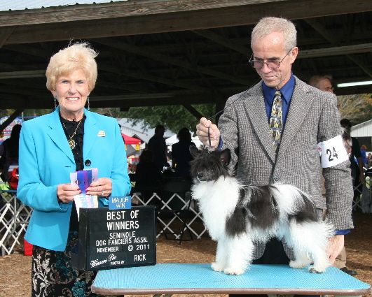 Masquerade Rhetoric Raising Hope