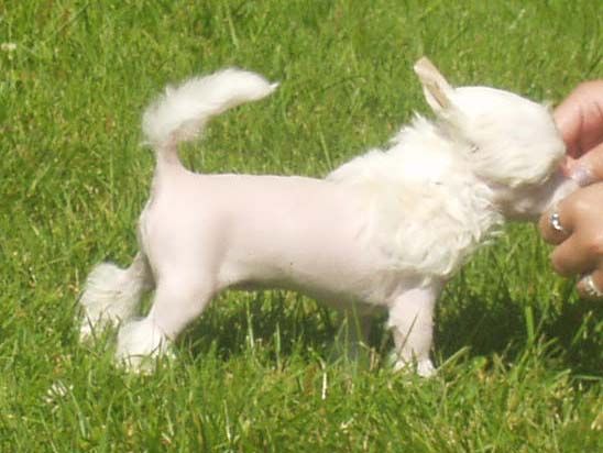 Noon's Zuger And Zpice