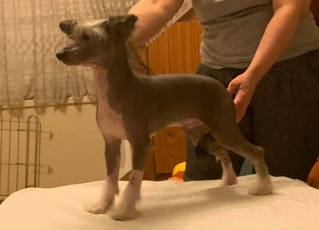 Blackheath Now Your Talking