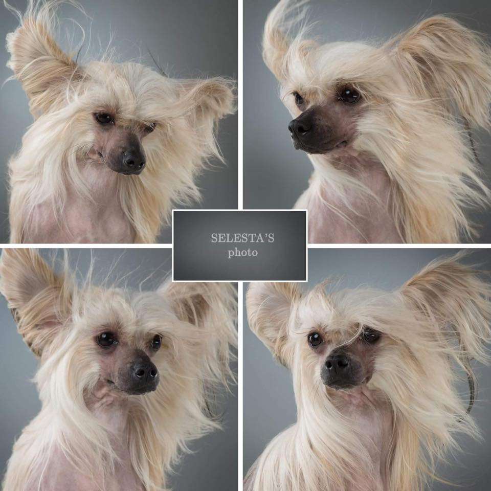 AnNika Il senso della mia vita