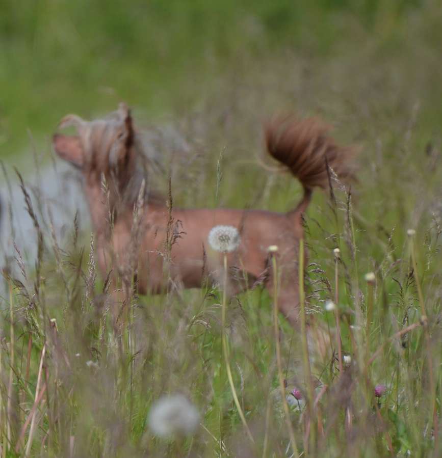 Vernisazh Mari De Muris