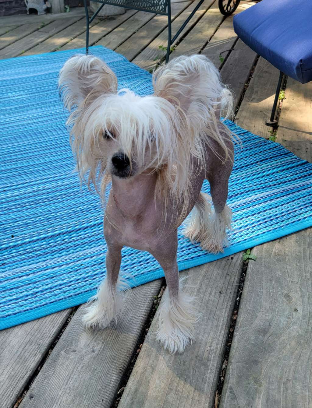 Country's Touch Of Class