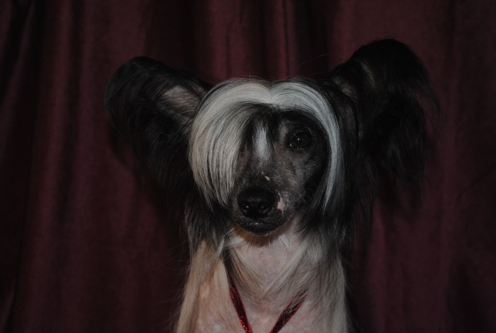 Grand Sunlife Afrika