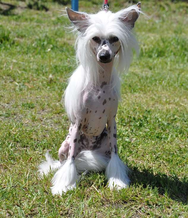 Evelina Winning Smile