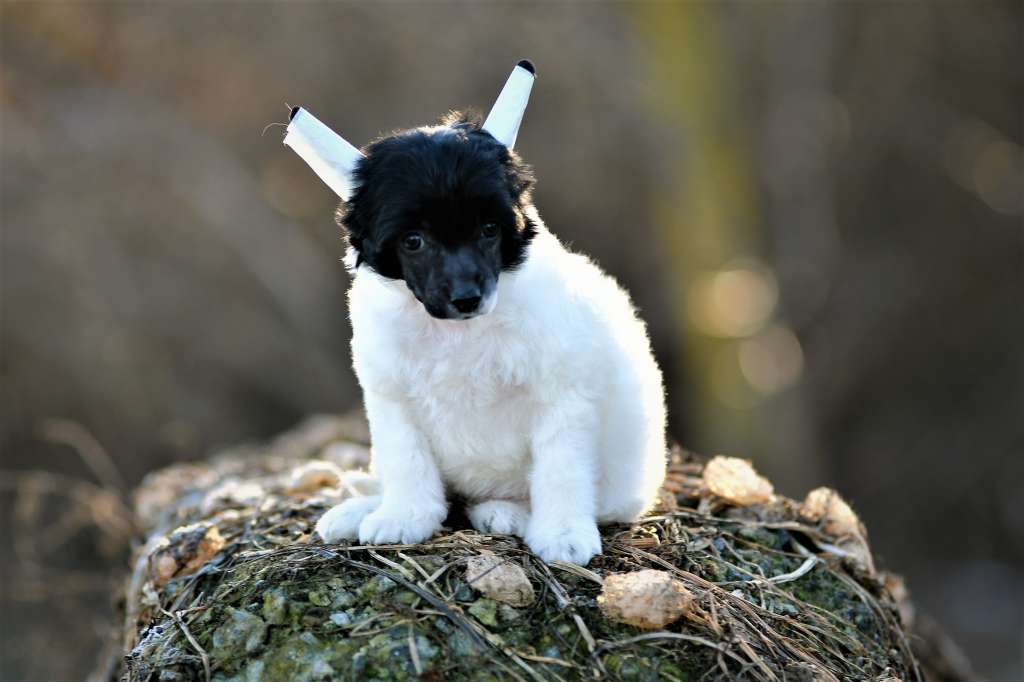 A Tahiti Winning Smile