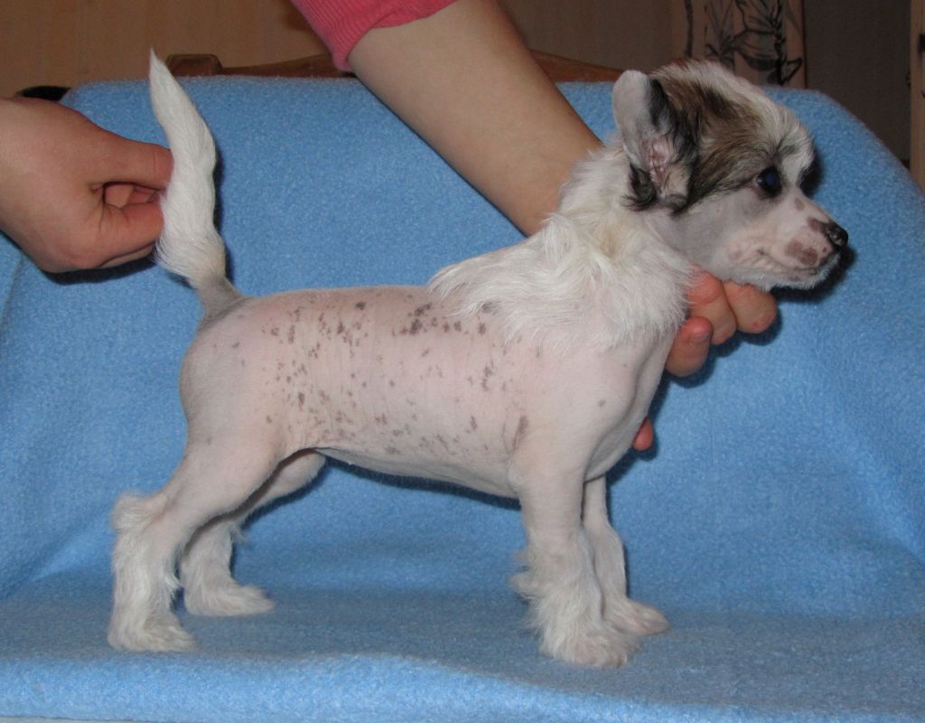 My Spell Back To Joyways